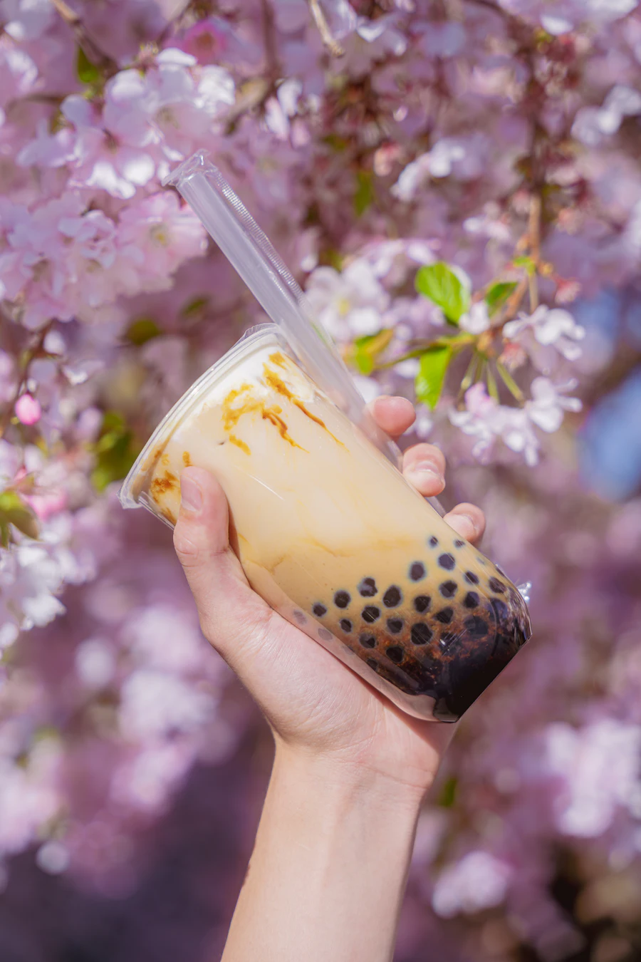 A hand holding a cup of milk tea with tapioca pearls under spring blossoms